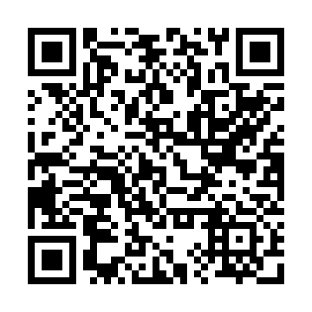 QR code for plate 29P B33