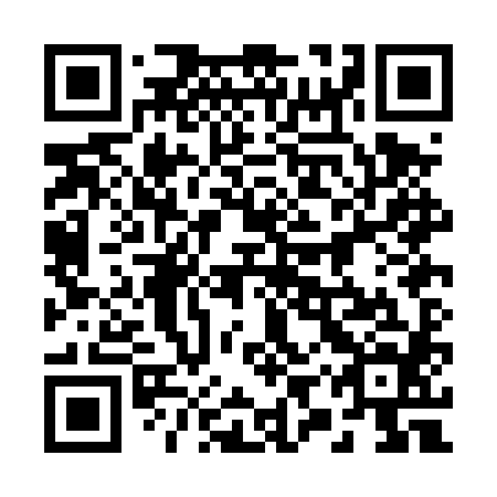 QR code for plate 29P DX4
