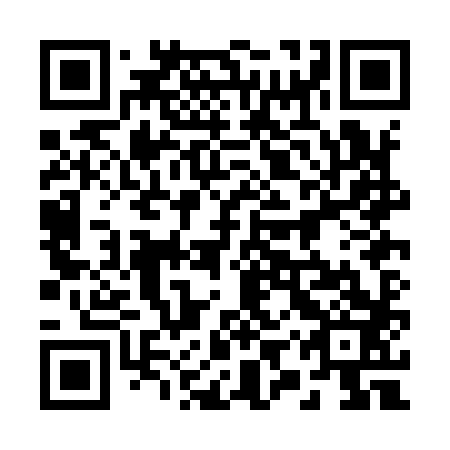 QR code for plate 29P I83