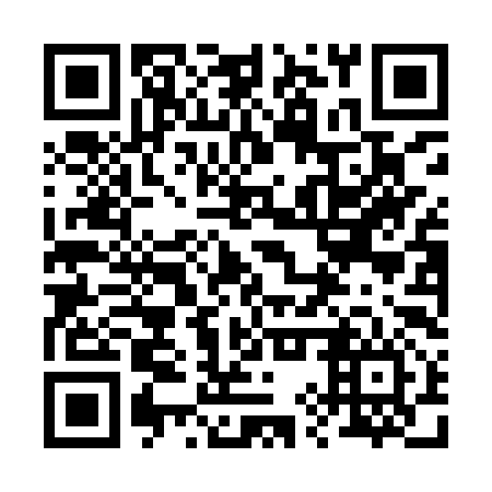 QR code for plate 29P IY6