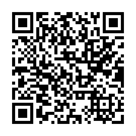 QR code for 29PPU8