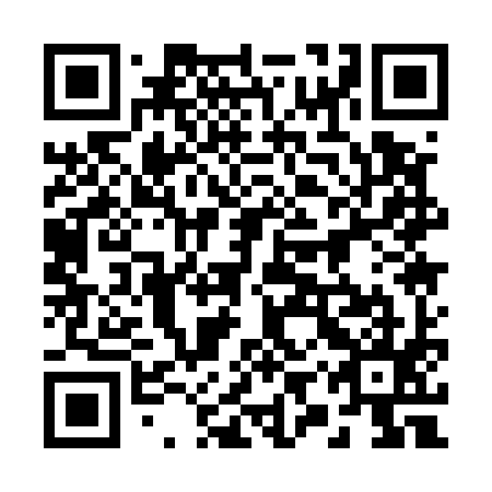 QR code for 29Q 595