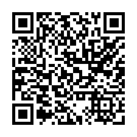 QR code for 29Q 863