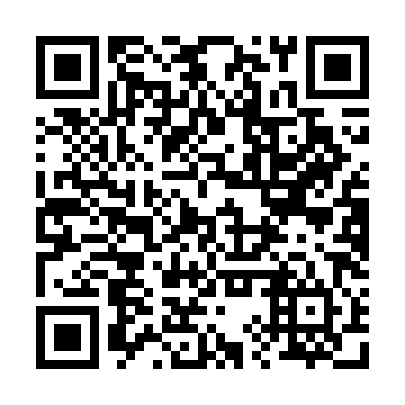 QR code for 29Q GH4