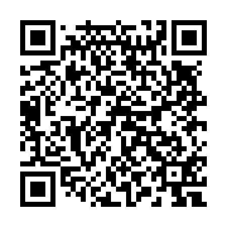 QR code for 29Q N11