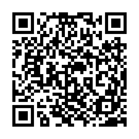 QR code for 29Q RV2
