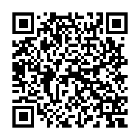 QR code for plate 29Q 124