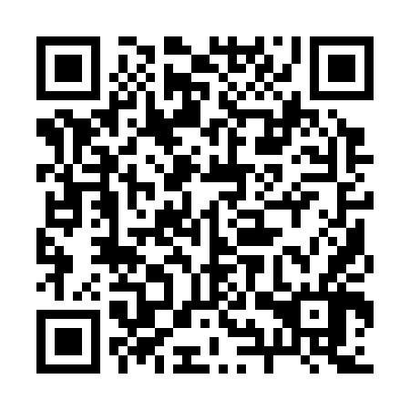 QR code for 29Q346