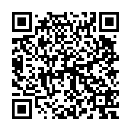 QR code for 29Q428