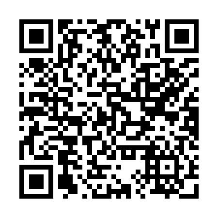 QR code for 29QI06