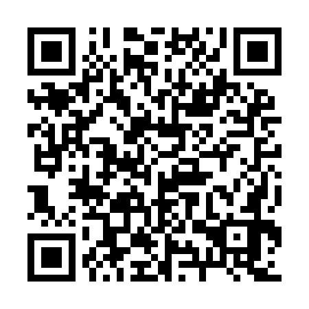QR code for 29R IG2