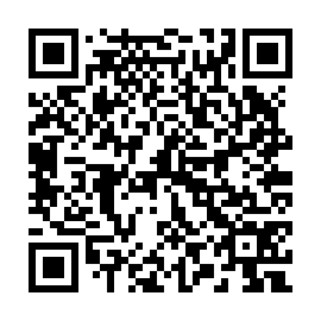 QR code for plate 29R Z74