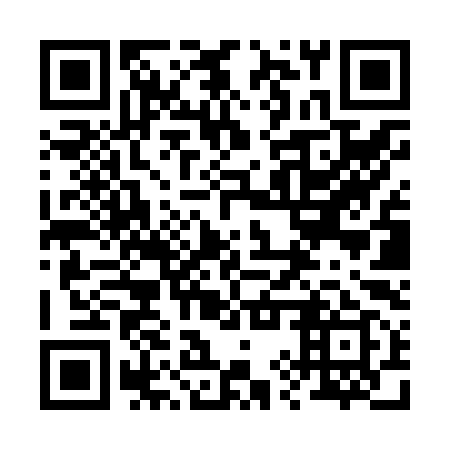 QR code for plate 29R Z99