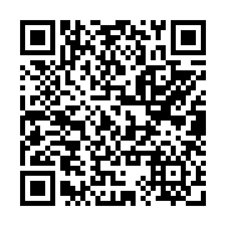 QR code for 29S V86