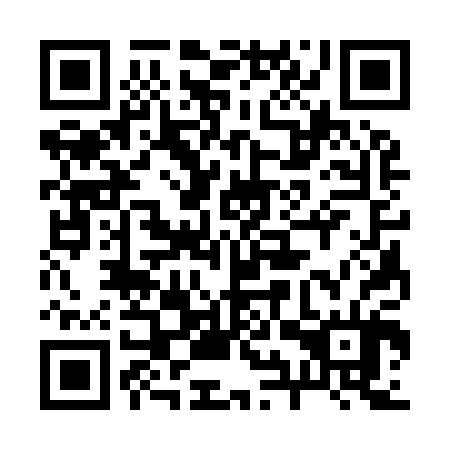 QR code for plate 29S 904