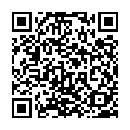 QR code for plate 29S UP9