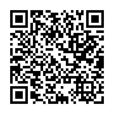 QR code for plate 29S VN2