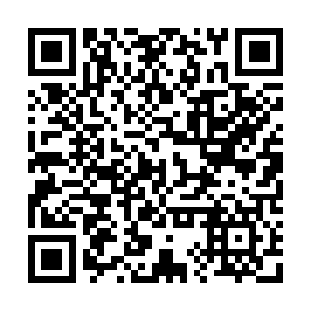 QR code for 29T 307