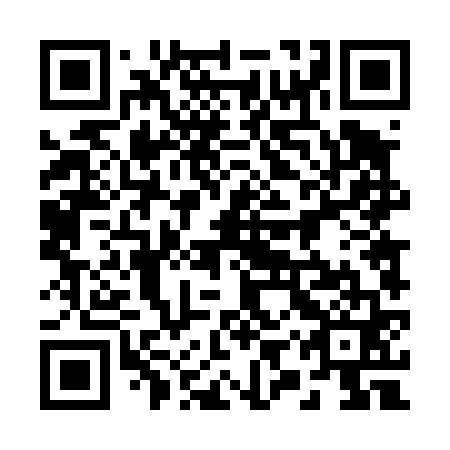 QR code for 29T 461