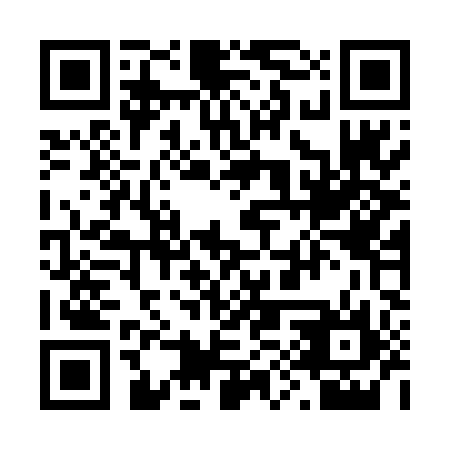 QR code for 29T DI6