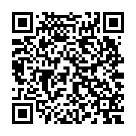 QR code for 29T V12