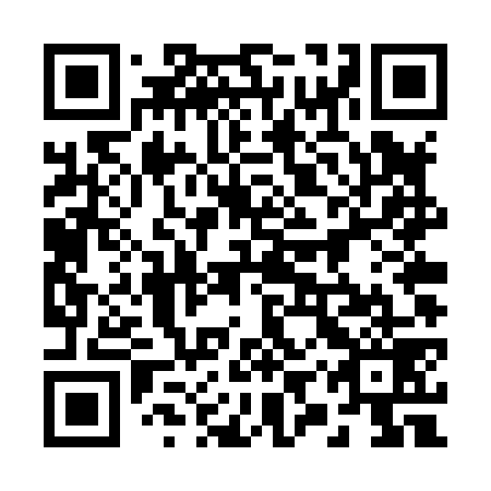 QR code for 29T X79