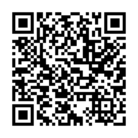 QR code for 29T381