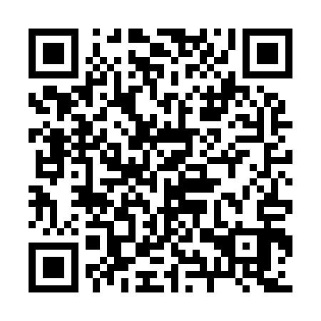QR code for plate 29T I13