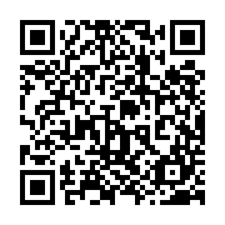 QR code for plate 29T UD4