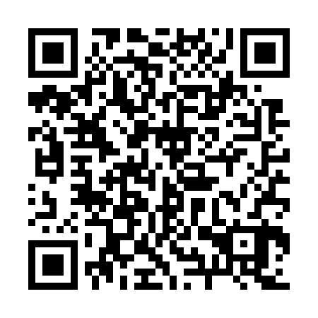 QR code for plate 29T W22