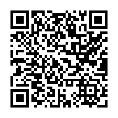 QR code for plate 29T Z43