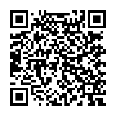 QR code for plate 29U LE3