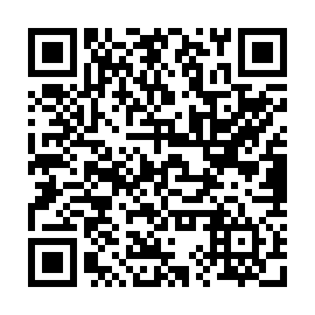 QR code for plate 29U R74