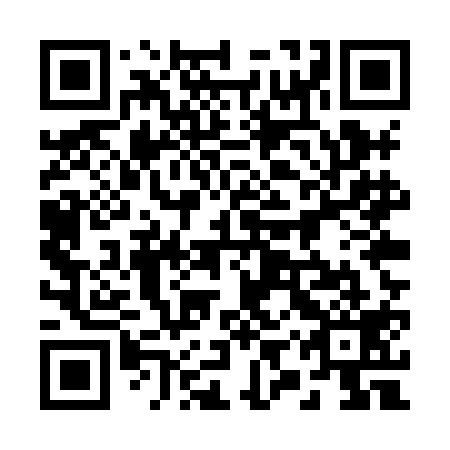 QR code for plate 29U XA9