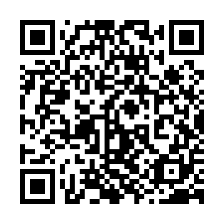 QR code for 29V Q50