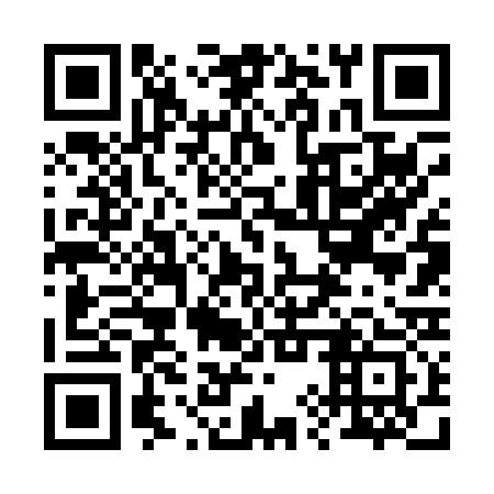 QR code for plate 29V 033