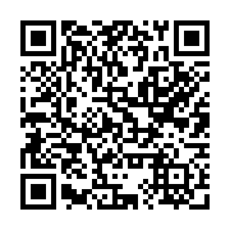QR code for 29V370