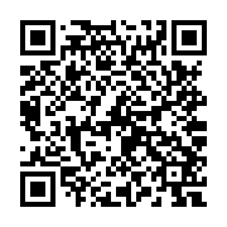 QR code for plate 29V XT2