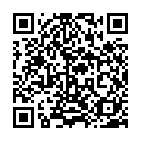 QR code for plate 29V Z21
