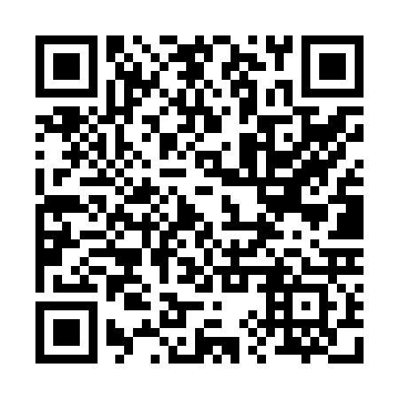 QR code for plate 29V Z23
