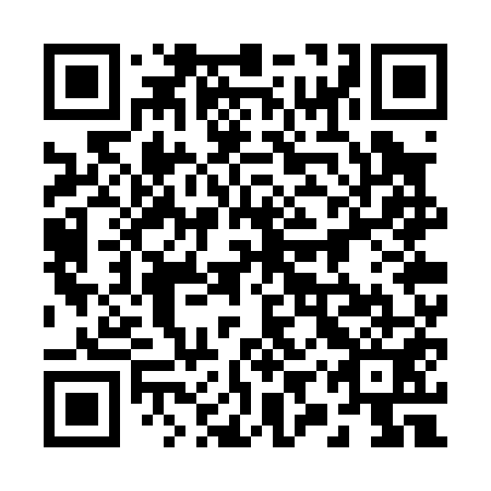 QR code for 29W P51
