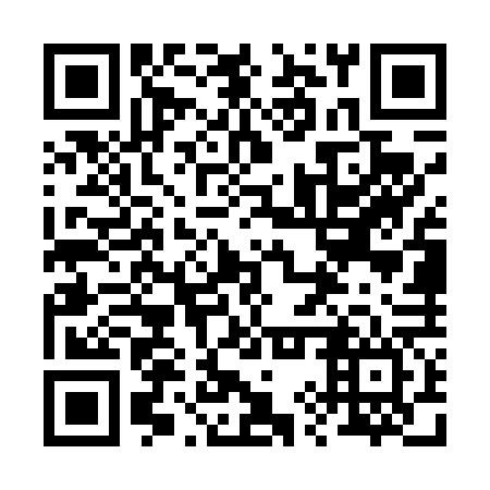 QR code for 29W T66