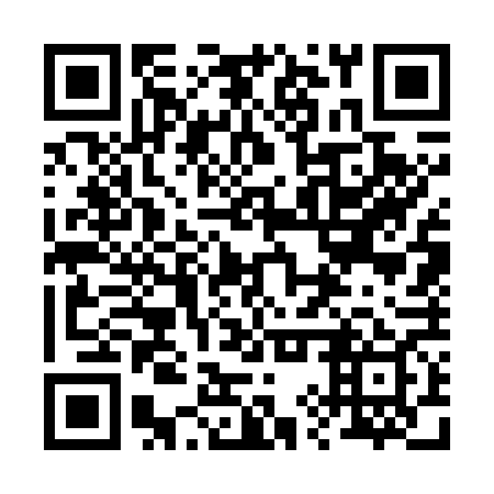 QR code for plate 29W 769