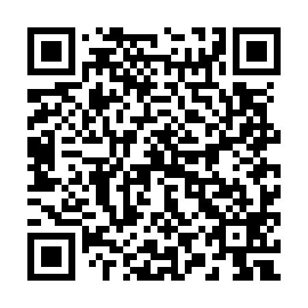 QR code for plate 29W O99