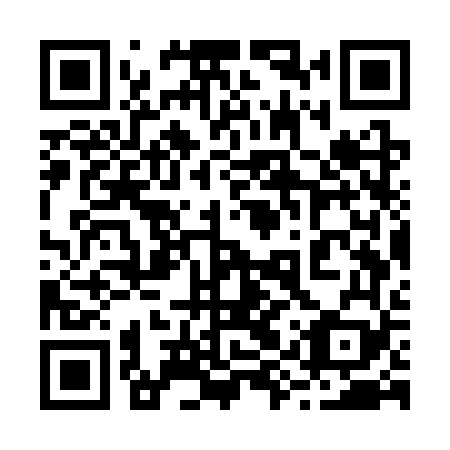 QR code for plate 29W SV9