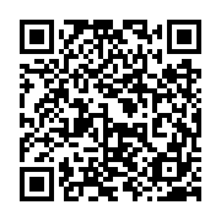 QR code for 29X GW2