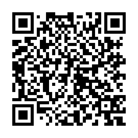 QR code for 29X HC4