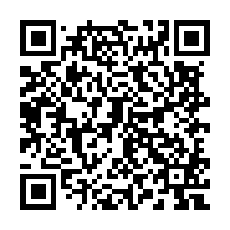 QR code for 29X M81