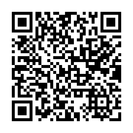 QR code for 29X Q25