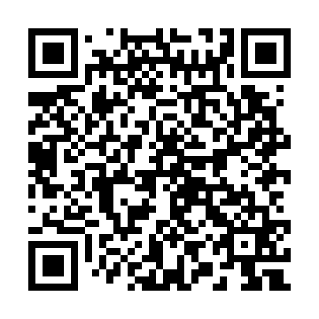 QR code for plate 29X G61